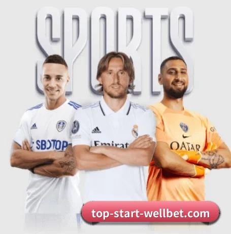 WELLBET APP 界面